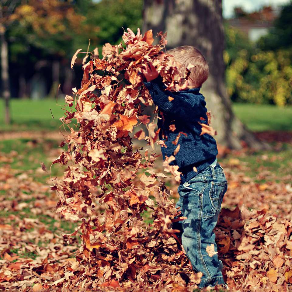 در کنار خانواده